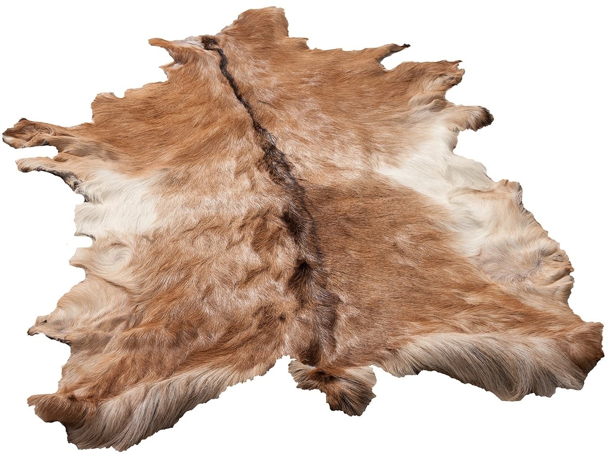 Ziegenfell 80-90cm 2552