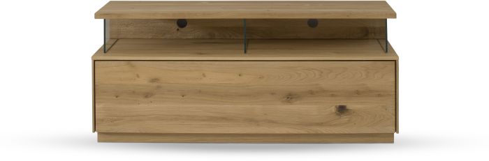 TV-Board St. Gallen Wildeiche