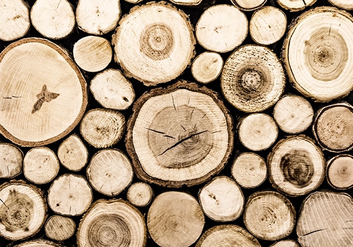Natur-Plus Holzratgeber von billi & friends in Mülheim-Kärlich